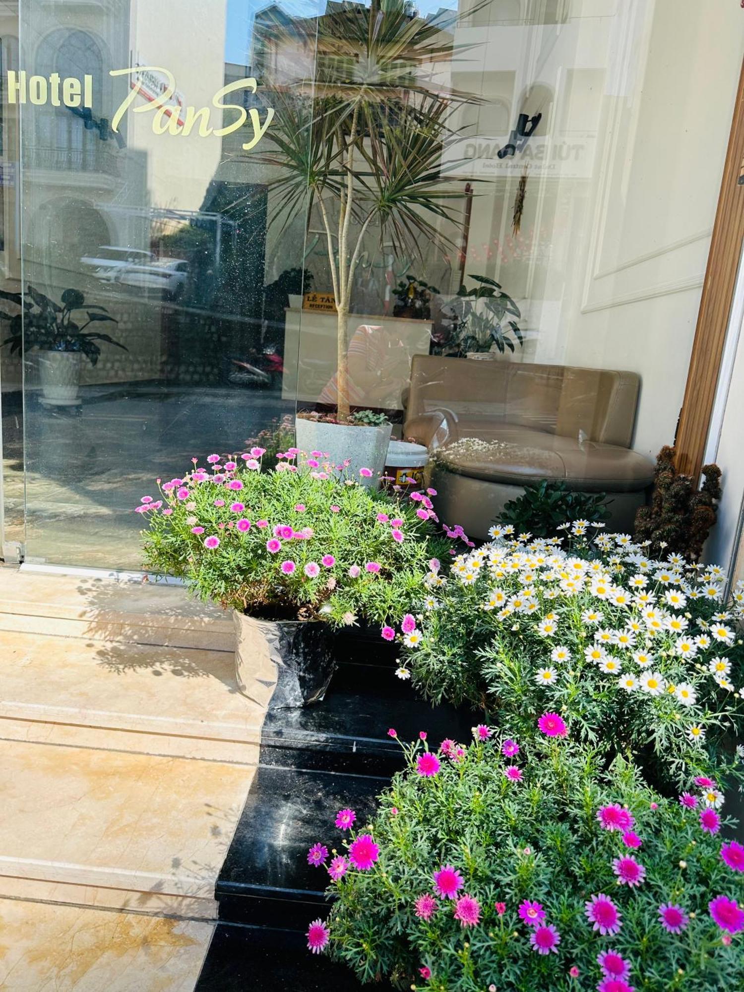 Hotel Pansy Νταλάτ Εξωτερικό φωτογραφία
